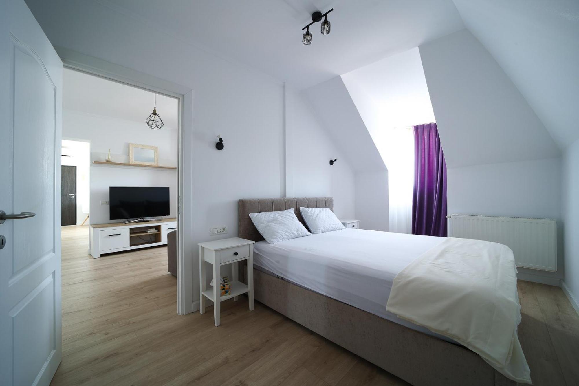 Apartment Cosy Penthouse Oradea